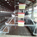 Alimentación automática y bebida Granja de pollo Jaulas de batería Colocación de gallinas